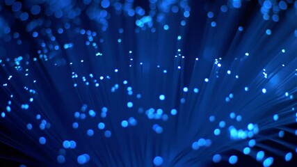Wall Mural - close up blue fiber optic cables illuminating network technology data transfer