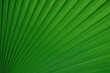 © The 2R Artificiality - Tropical foliage design with lush green backdrop