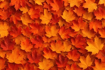 Wall Mural - vibrant autumn foliage with red and orange leaves outdoors, ideal for seasonal designs with space fo