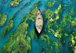 © AmazingAerialAgency - Aerial view of a solitary boat glides through the crystal-clear waters, amidst lush green aquatic plants, creating a serene contrast, Sirajganj, Rajshahi Division, Bangladesh.