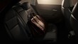 © Di Studio - leather bag on back seat of a car