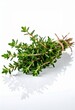 © itsara  - Fresh Thyme Sprigs Bundle tied with twine on white background herb green