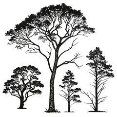 Black Tree Silhouettes Collection White Background