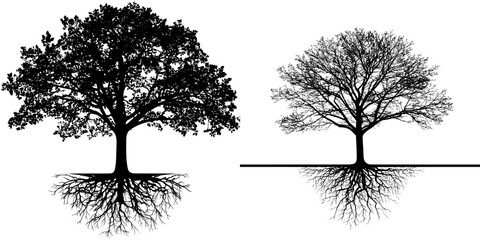 This image depicts a tree with extensive roots in a modern black silhouette style clipart illustration design