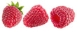 © Iurii Kachkovskyi - collection of single raspberry isolated on white background