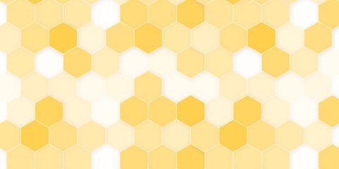 Wall Mural - vector banner design. hexagons pattern. geometric abstract background with simple hexagonal elements