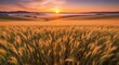 © basain - Beautiful Sunrise Over Wheat Field In Golden Hour