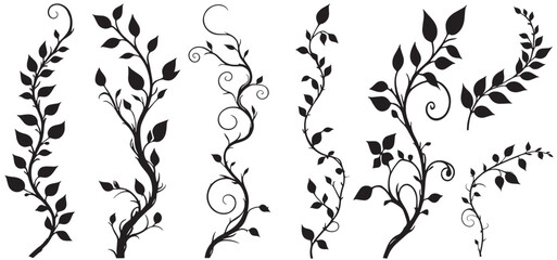 jungle creeper silhouettes. tropical forest lianas, rainforest hanging sprouts. climbing liana vines