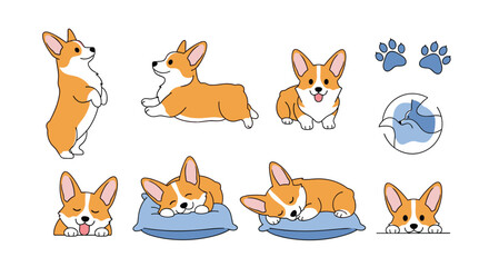  Adorable Corgi Pups Posing in Various Cute Playful and Sleepy Positions For Animal Lovers