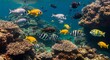 © Epep Gaming  - Colorful Underwater Scene School of Fish Swimming Among Coral Reefs in the Ocean