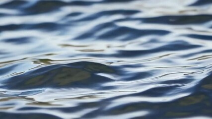 Wall Mural - tranquil flowing water surface with gentle ripples in natural light reflection