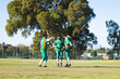 © Wavebreak Media - Three male baseball teammates celebrating, tossing glove, wearing caps, cleats on field near fence