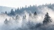 © Minsa - A misty forest landscape with evergreen trees shrouded in fog creating a serene and ethereal scene