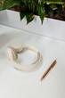 © Wavebreak Media - Headphones lying on white desk near rose-gold pen with green plants emerging from white planter