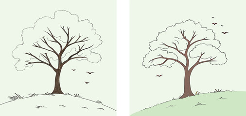 set of four seasons trees