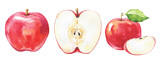 Watercolor red apple set on white. Watercolour illustration.