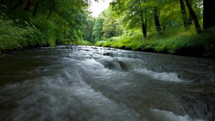 Wall Mural - close-up view of a gently flowing stream in a lush green forest. the water is dark and clear, with s