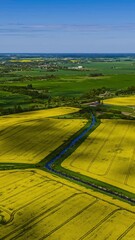 Wall Mural - shadows from drifting clouds sweep across wide yellow fields in a scenic hyperlapse.