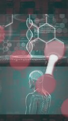 Wall Mural - animation of dna helix rotating over digital screens with medical structures