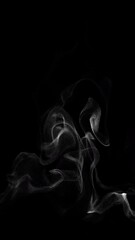 Wall Mural - smoke wisps fluid flow loop on black background