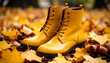 © Deja - Yellow Leather Boots on Autumn Leaves
