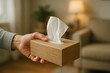 © Meow Creations - Hand offering wooden tissue box with white tissue in a cozy home setting