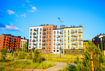 Planting trees, Pine tree at residential complex. Landscaping for urban spaces. New apartment building block. Condominium complex with green courtyard. New residential building after construction.