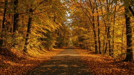 Wall Mural - leaf-covered trail surrounded by glowing autumn colors.
