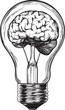 © EaseDesign - Lamp bulb with brain inside sketch engraving vector illustration. T-shirt apparel print design. Scratch board imitation. Black and white hand drawn image.