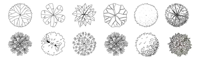 Versatile tree top view vector illustration set, perfect for architectural designs and landscape planning. tree silhouettes enhance any project with natural elegance