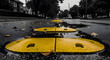 © TITI - Yellow Speed Bumps On A Wet City Street After The Rain Fall Season