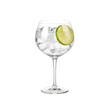 © Artix Studio - A refreshing and aromatic gin and tonic cocktail in a large copa glass with a lime wheel and ice on isolated transparent background.