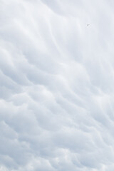 Wall Mural - Rain clouds in the sky