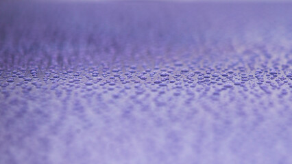 Wall Mural - Water drops on a purple background. Abstract water drops on a purple background.