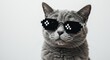 © wati - Cool cat portrait wearing pixelated glasses with a funny and confident expression