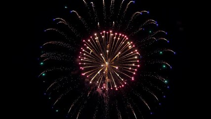 Wall Mural - fireworks in the night sky with a black background