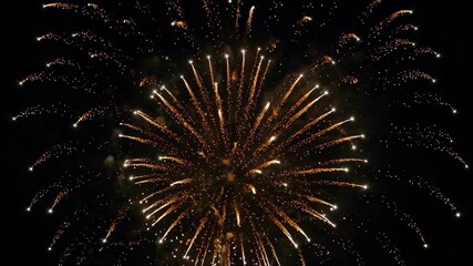 Wall Mural - fireworks in the night sky with a black background