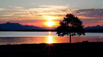 Wall Mural - sunset over a lake with a lone tree and mountains in the background