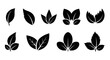 © Dayu - Leaves: A collection of stylised black leaves, each with unique designs and shapes, on a minimalistic background. The image is perfect for illustrating themes of nature, ecology, and organic design.