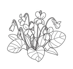 Wall Mural - flowering violet bunch outline drawing