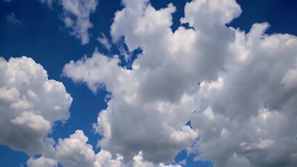 Wall Mural - soft fluffy cumulus clouds drift across a radiant summer sky in this relaxing 4k time lapse ideal for backgrounds and nature themed visuals with bright atmospheric lighting