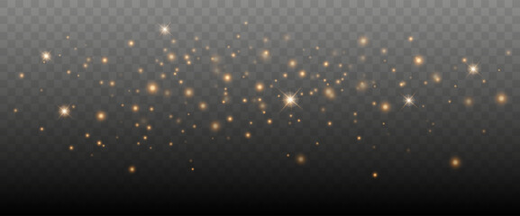 Wall Mural - gold bokeh lights isolated. vector background with gold sparkles