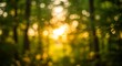 © ReyJune - Abstract, blurred image of sunlight filtering through trees in a forest, creating a bokeh effect with bright, golden, and green hues.