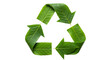© zulfiqar ali - Sustainable Living: A Vibrant Green Recycling Symbol on transparent background