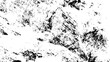 © HALIMA - Abstract grunge black and white distressed texture background