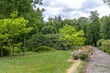 © Matsko - Bright green landscaped park on a summer day
