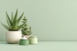 © Liza - A minimalist still life featuring aloe vera, succulent plants, and skincare products in pastel green tones, promoting wellness and natural beauty.