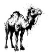 © Reytr - Camel Surreal Abstract Messy Paint Splatter Drip Everywhere Black and White Outline Line Art Drawing