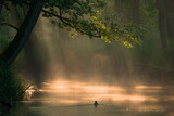 poranek nad rzeką