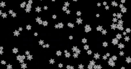 Wall Mural - Slowly moving snowflakes on a black background. Abstract animation.